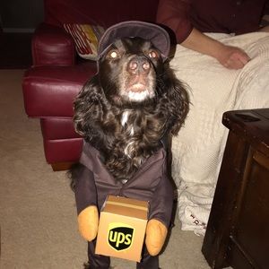 Meet your Posher, Bill